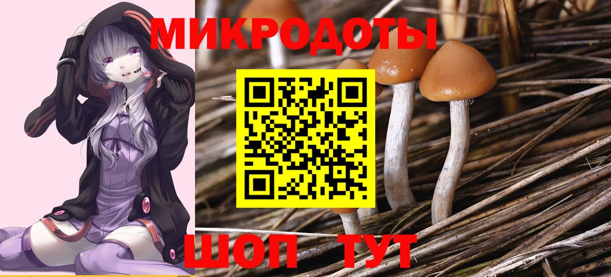Псилоцибиновые грибы прущие грибы Ноябрьск